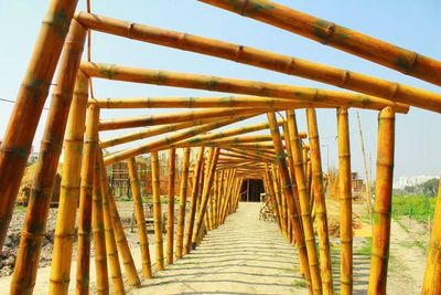 Spiralling bamboo corridor framing a walking path