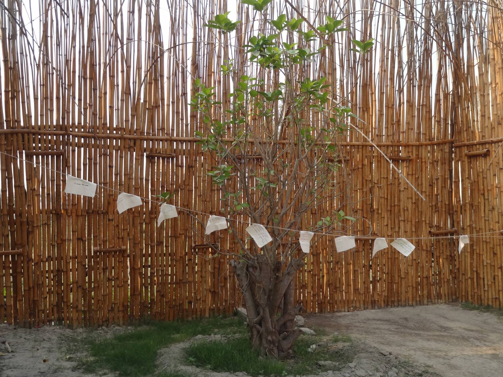 Tree strung with hand-written cloth wishes against a bamboo screen wall